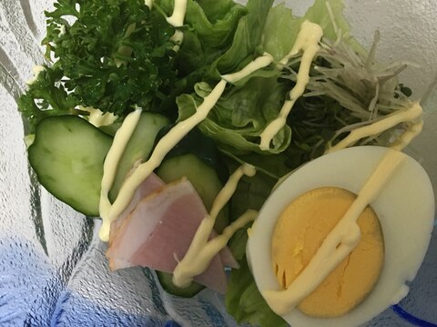 ブロッコリーの新芽とハムとパセリの生野菜サラダ♡